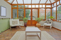 free Shevington conservatory quotes